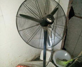 工业风扇价格疑问 两个50元和一个100元的区别与选购建议